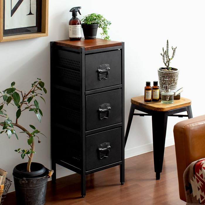 エア・リゾーム チェスト ローチェスト キャビネット リビング 収納 ヴィンテージウッドアイアンチェスト BILLS(ビルズ) (3ドロワー)